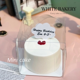 Bánh Mini cake